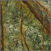 Rain Forest Green